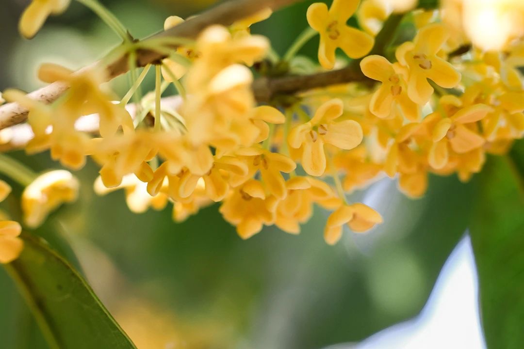 做到自我批评, 就不会再有争执矛盾